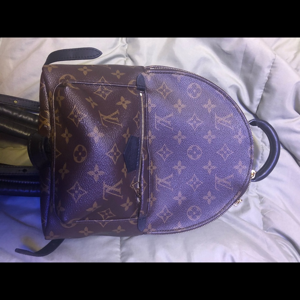 Luis Vuitton Backpack - Picture 1 of 6